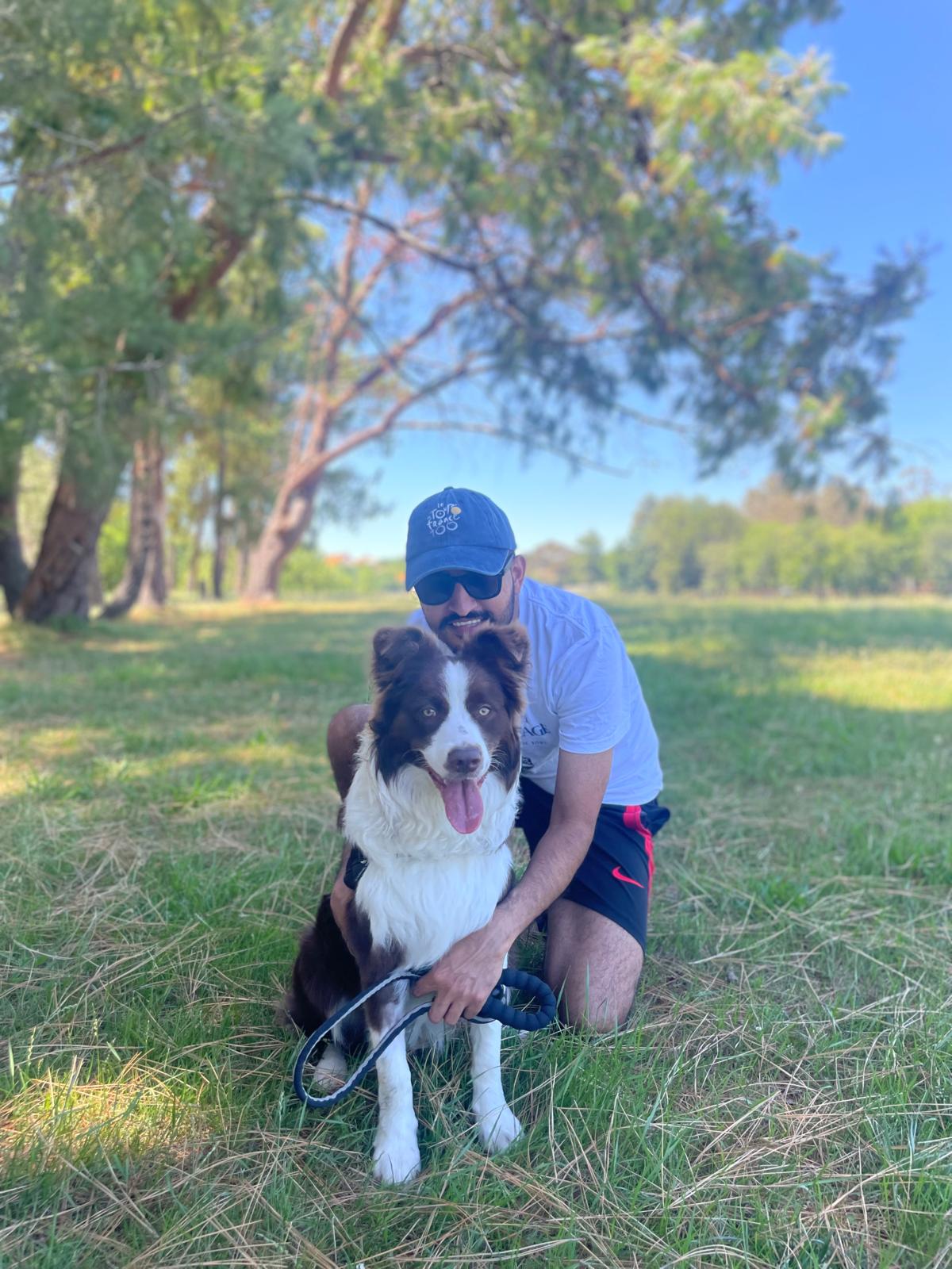 Beiz the Border Collie
